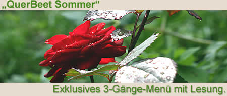 QuerBeet Sommer, Exclusives 3-Gänge-Menü mit Lesung