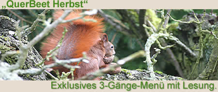 QuerBeet Herbst, Exclusives 3-Gänge-Menü mit Lesung